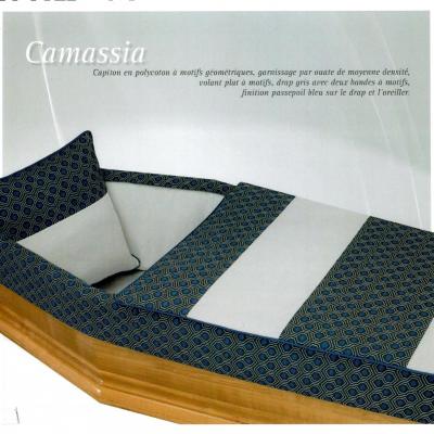 Capiton camassia 1